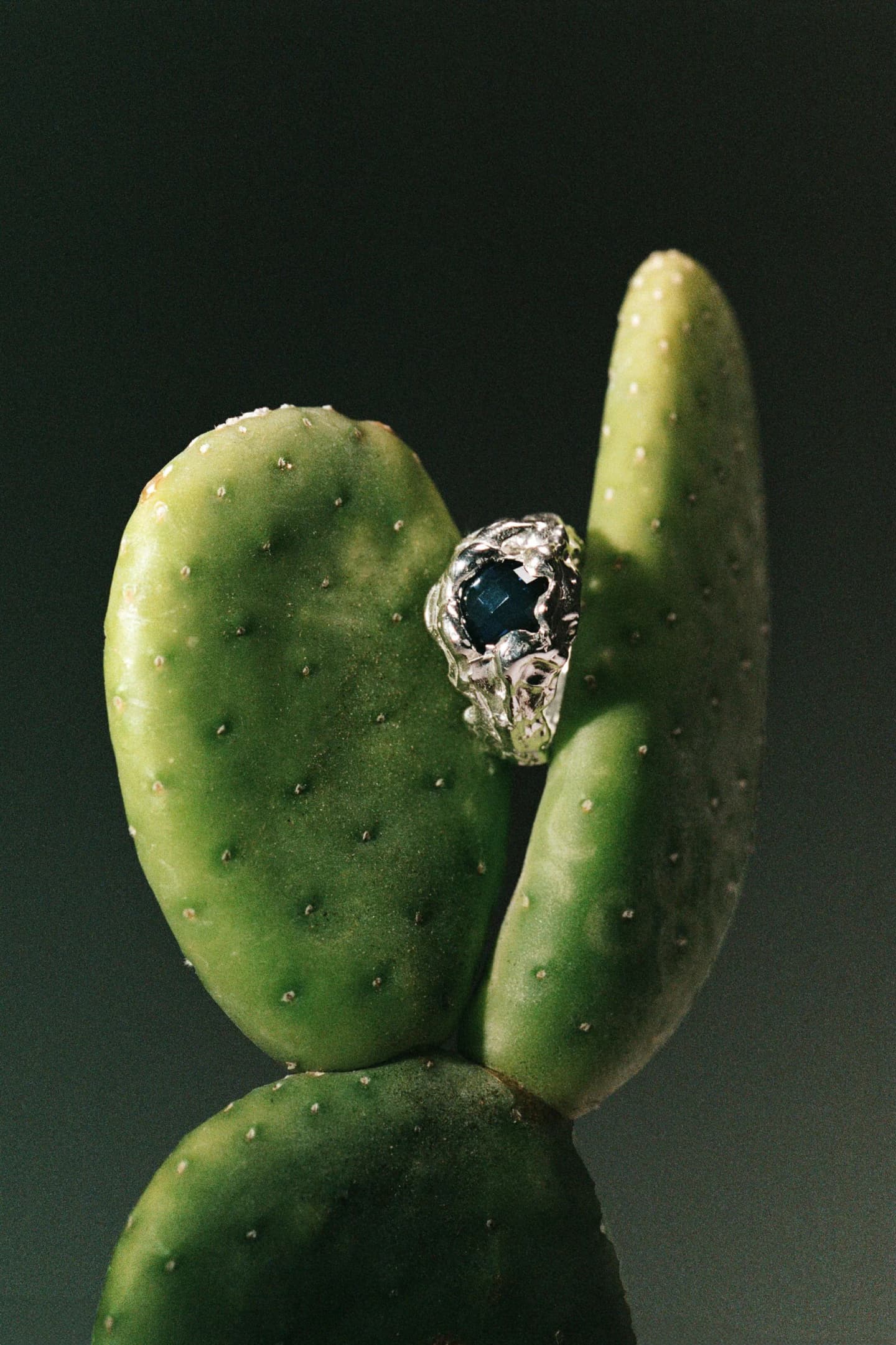 Patina of Time: The Ageing Aesthetic and Why Imperfection Matters